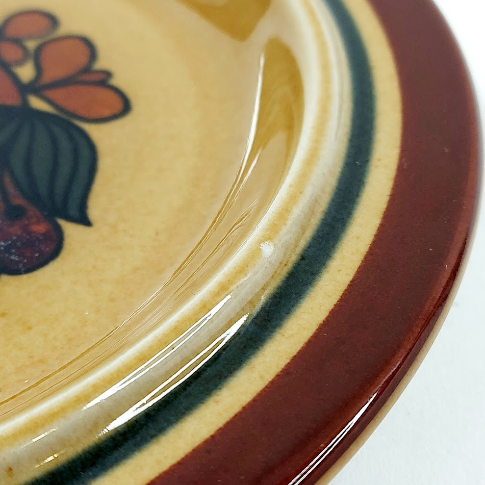 Arabia Otso lautanen 20,5 cm 2 kpl