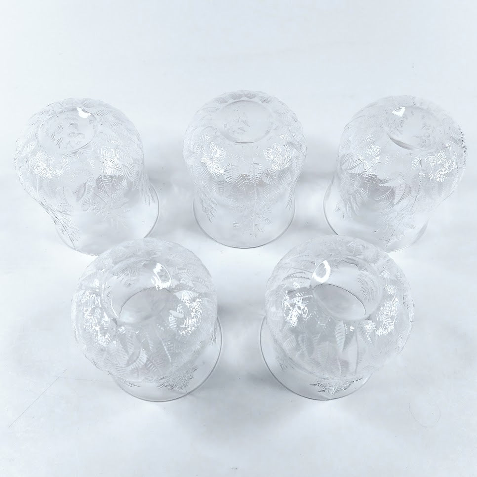 Iittala Koivu juomalasi 5 kpl