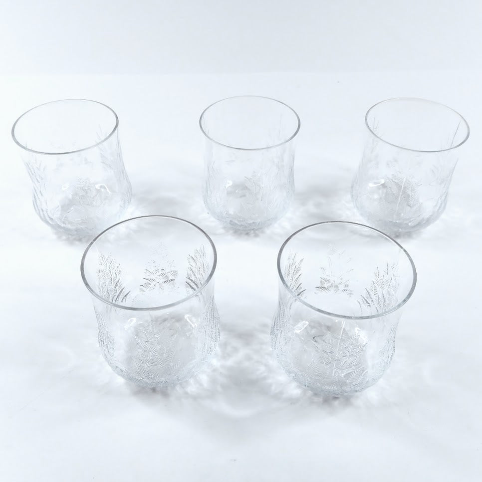 Iittala Koivu juomalasi 5 kpl