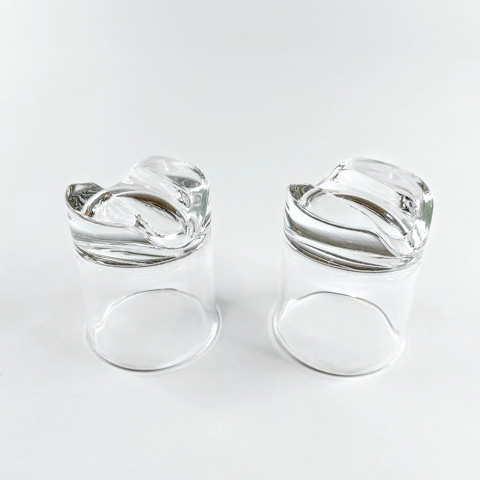 Iittala Sampo snapsilasi 2 kpl