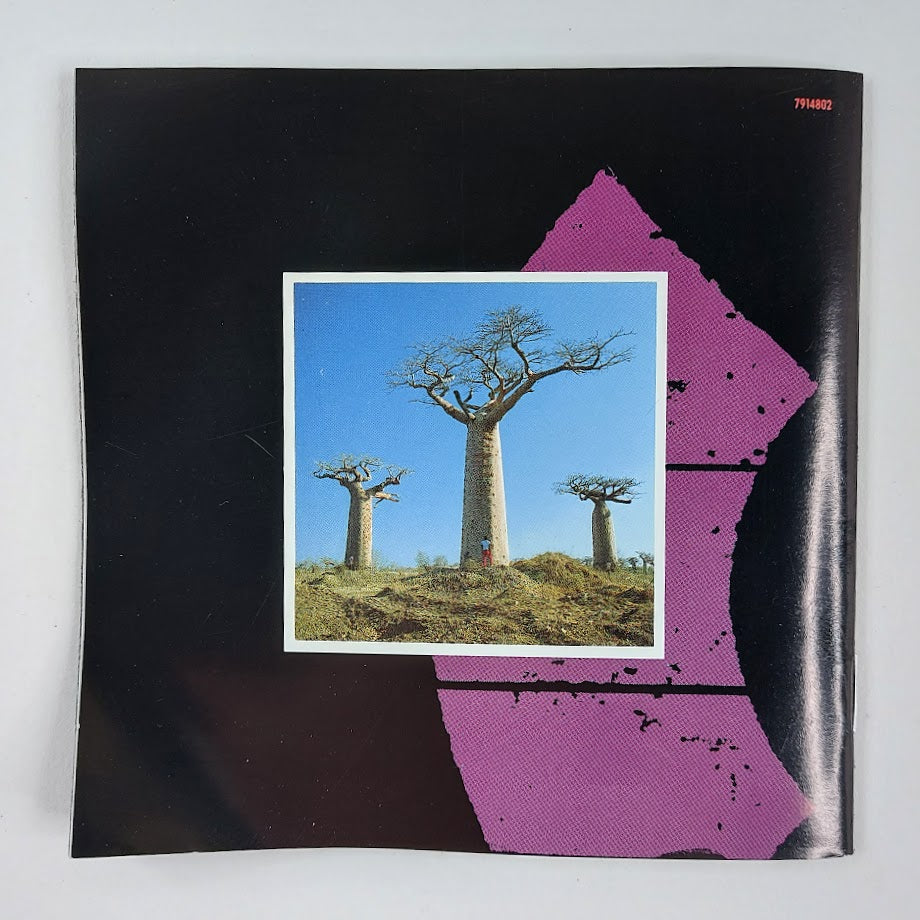 Pink Floyd: Delicate Sound Of Thunder 2CD