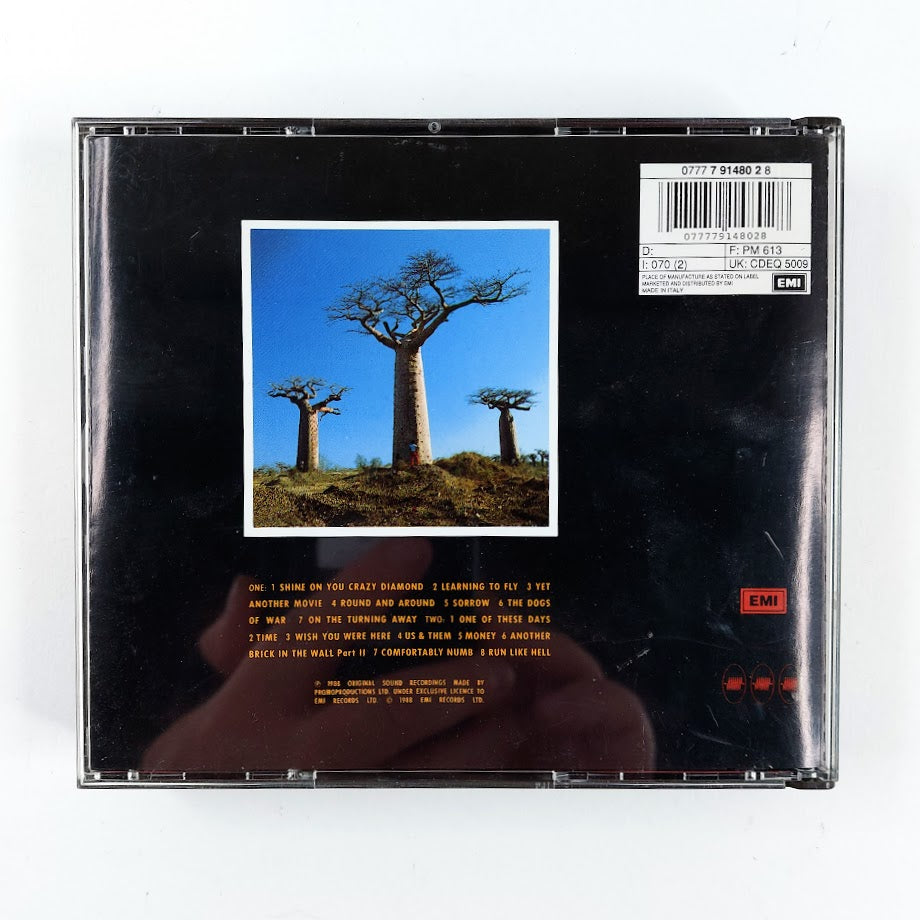Pink Floyd: Delicate Sound Of Thunder 2CD