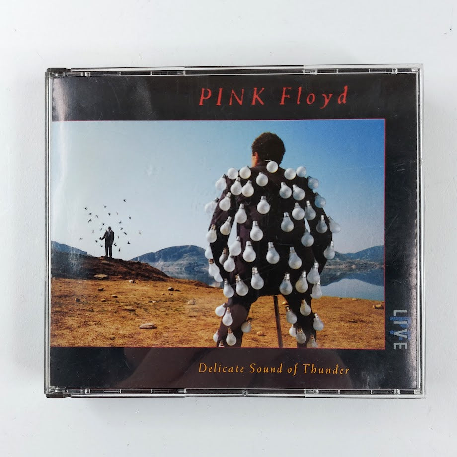 Pink Floyd: Delicate Sound Of Thunder 2CD