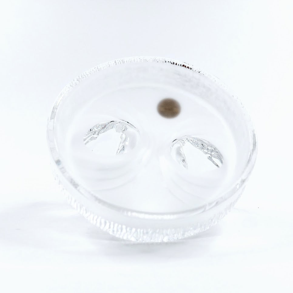 Royal Crystal Rock joutsenet kristallifiguuri