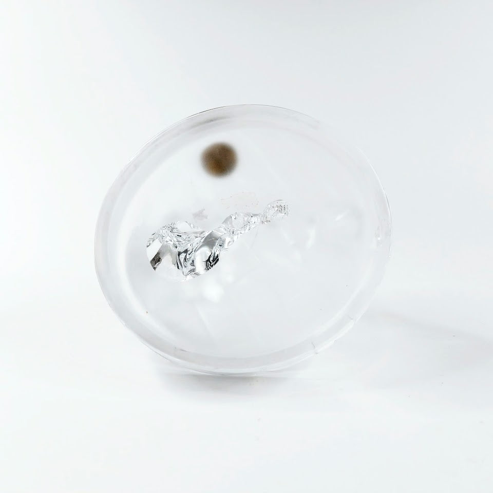 Royal Crystal Rock kissa ja pennut kristallifiguuri
