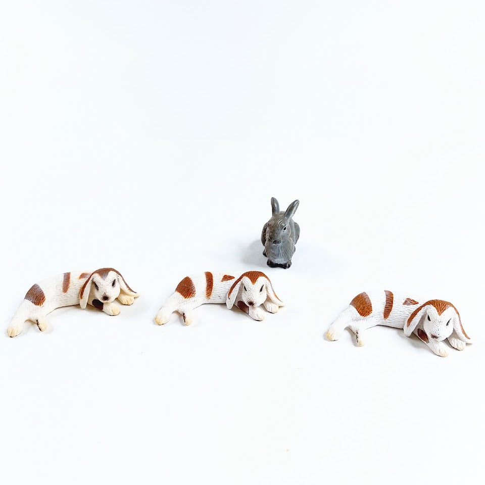 Schleich kotieläimet 8 kpl