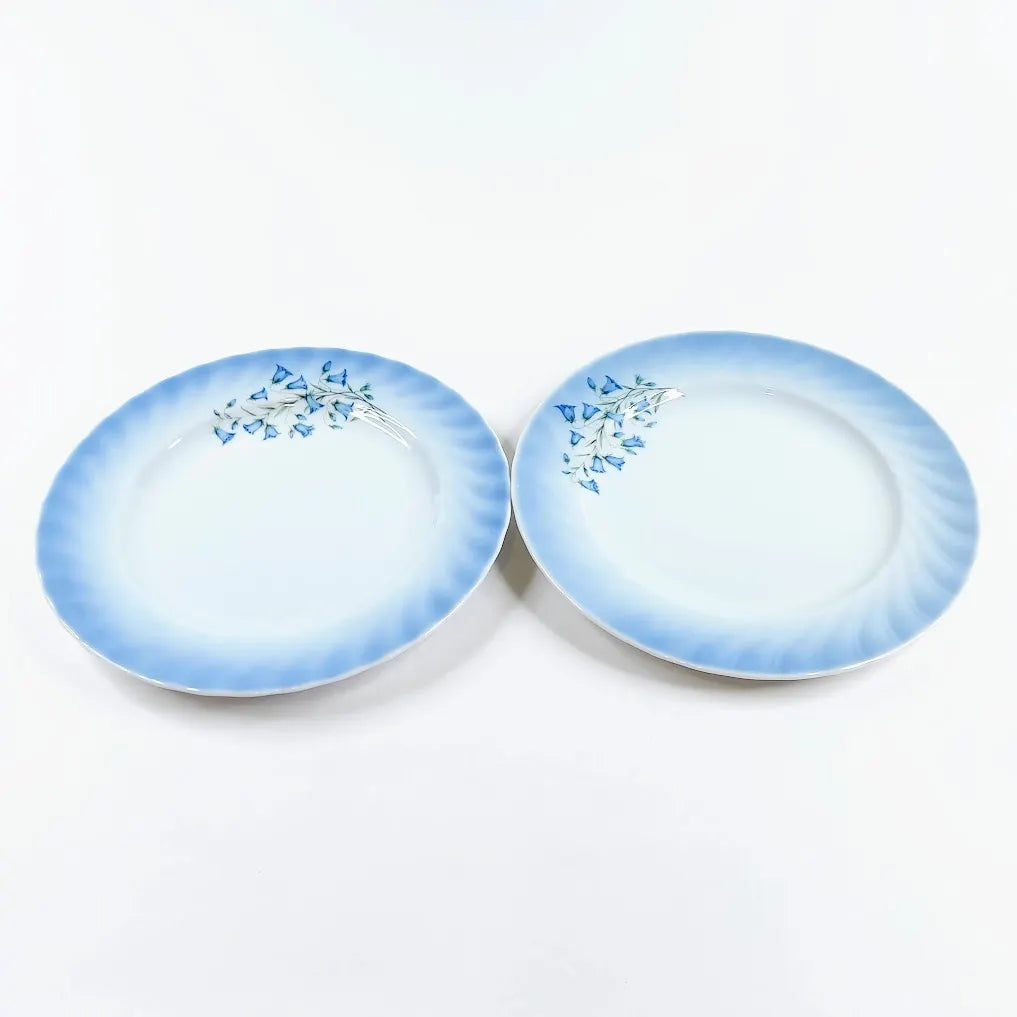 Christineholm Porcelaine Nr1 pullalautanen 19 cm 2 kpl