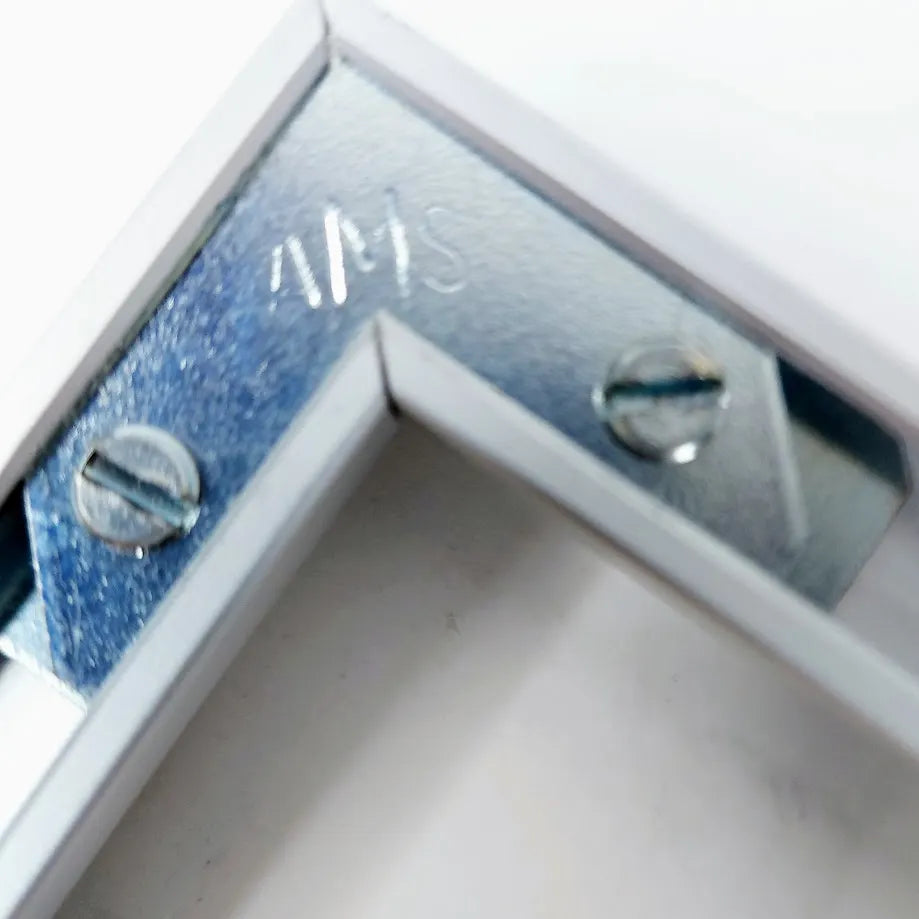 Painokuva F. Neri Forum Romanum 41cm x 34,5cm