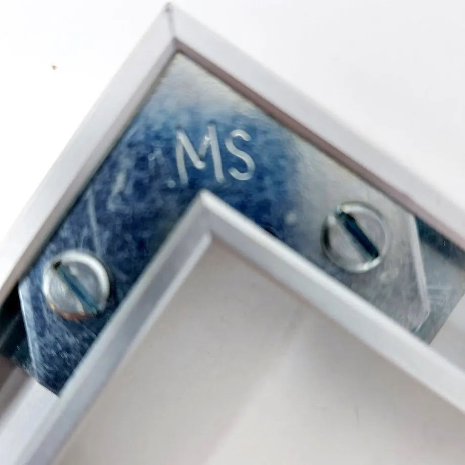 Painokuva J.B. Thibault Le Jardin Exotique et le Rocher 41 x 34,5 cm