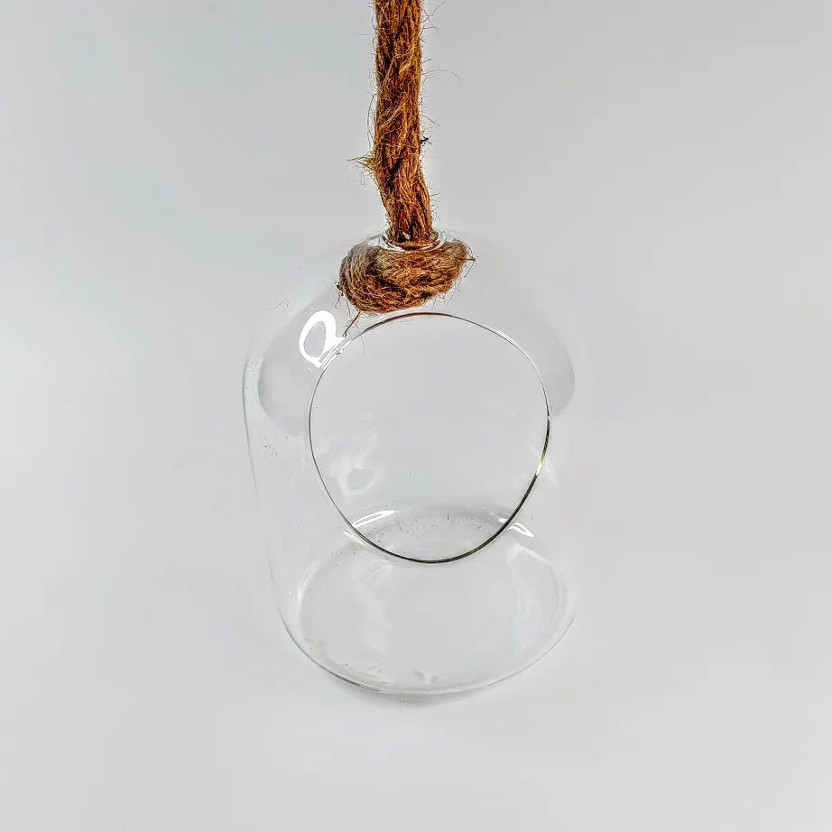 Kasviterraario 15 cm