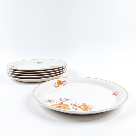 Arabia Myrna ruokalautaset 6 kpl