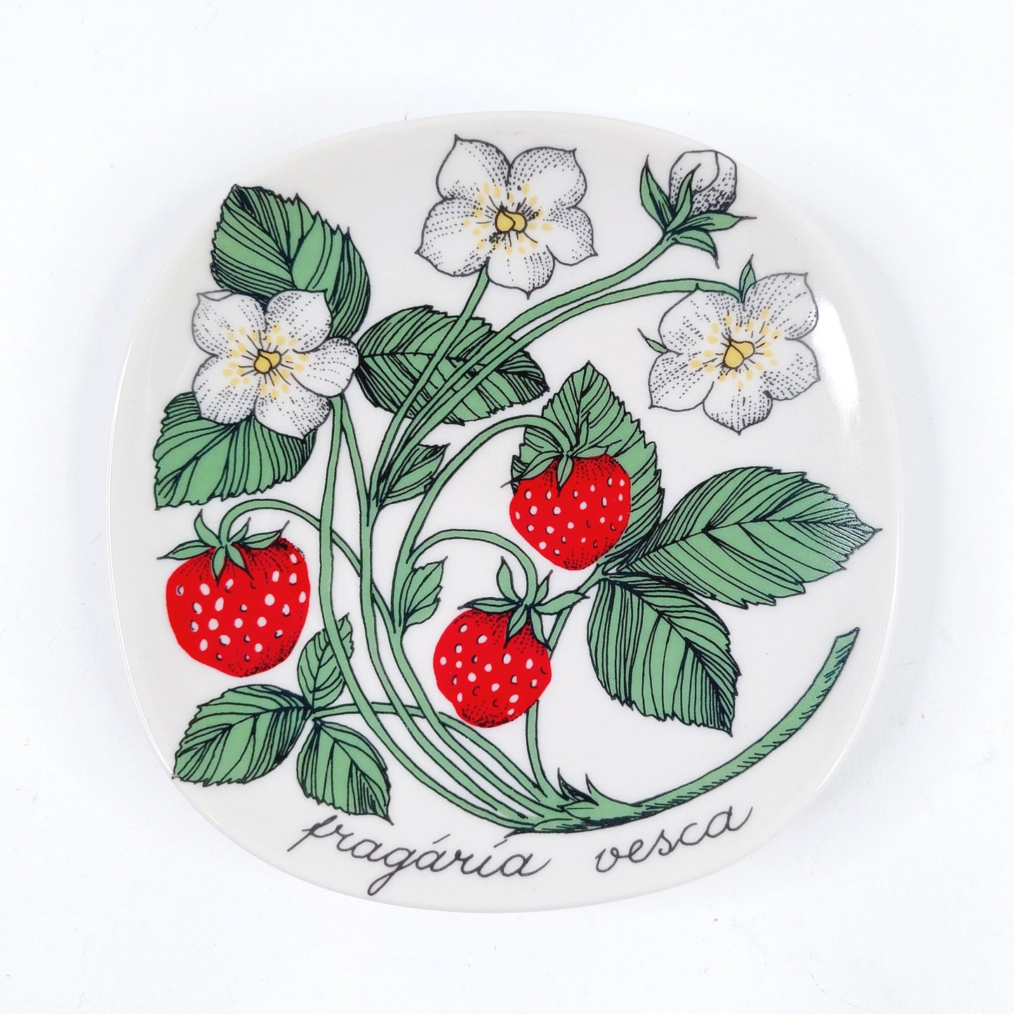 Arabia  Fragaria vesca seinälautanen