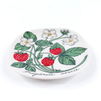 Arabia  Fragaria vesca seinälautanen