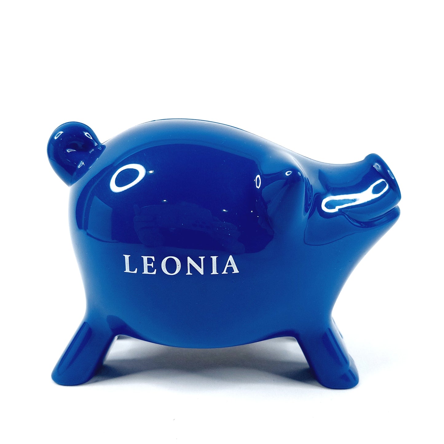 Leonia säästöpossu