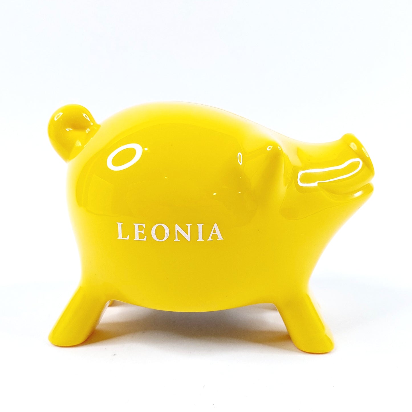 Leonia säästöpossu