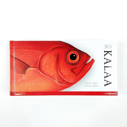Antal Vida, Tamás Kótai: 365 kalaa