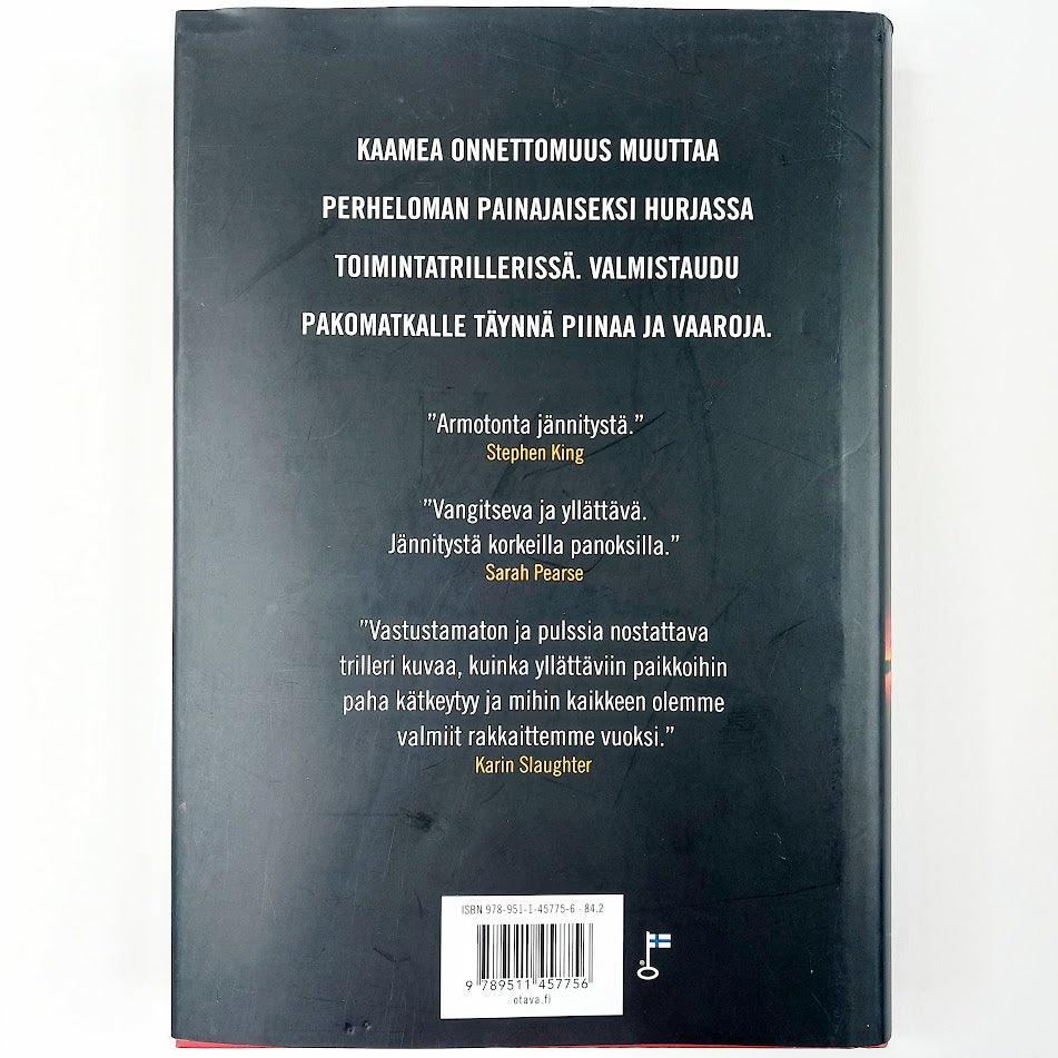 Adrian McKinty: Saari