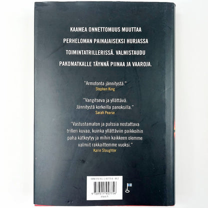 Adrian McKinty: Saari