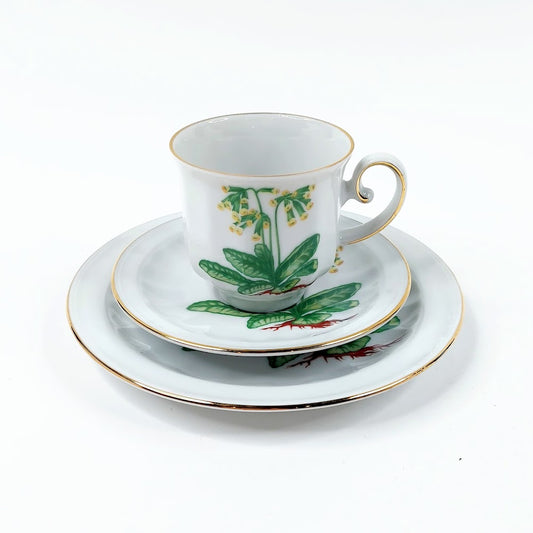 Apilanlehti Carl von Linné 1977 kahvikuppisetti 3 osaa