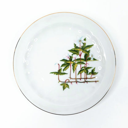 Apilanlehti Carl von Linné 1978 kahvikuppisetti 3 osaa