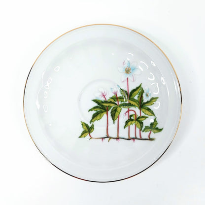 Apilanlehti Carl von Linné 1978 kahvikuppisetti 3 osaa