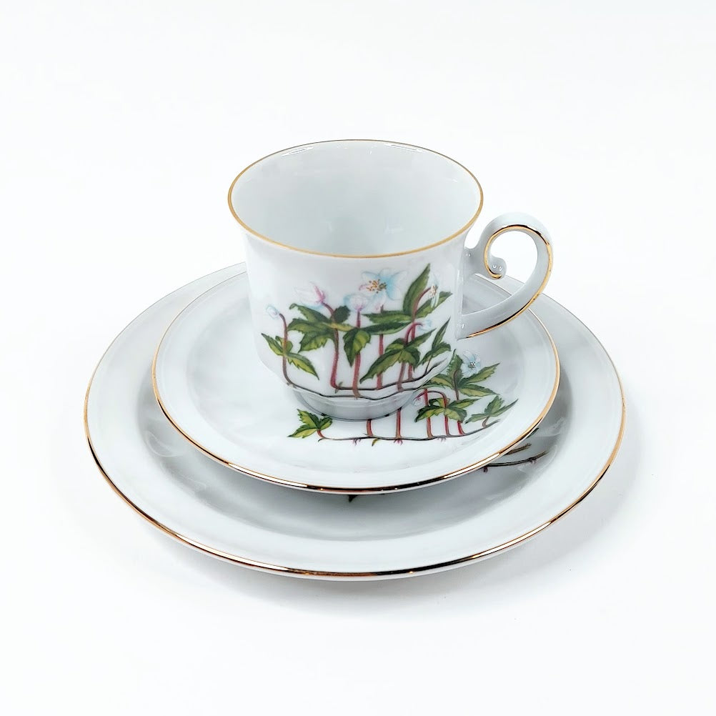 Apilanlehti Carl von Linné 1978 kahvikuppisetti 3 osaa