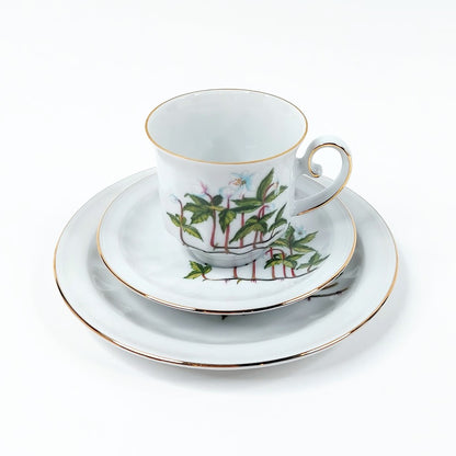 Apilanlehti Carl von Linné 1978 kahvikuppisetti 3 osaa