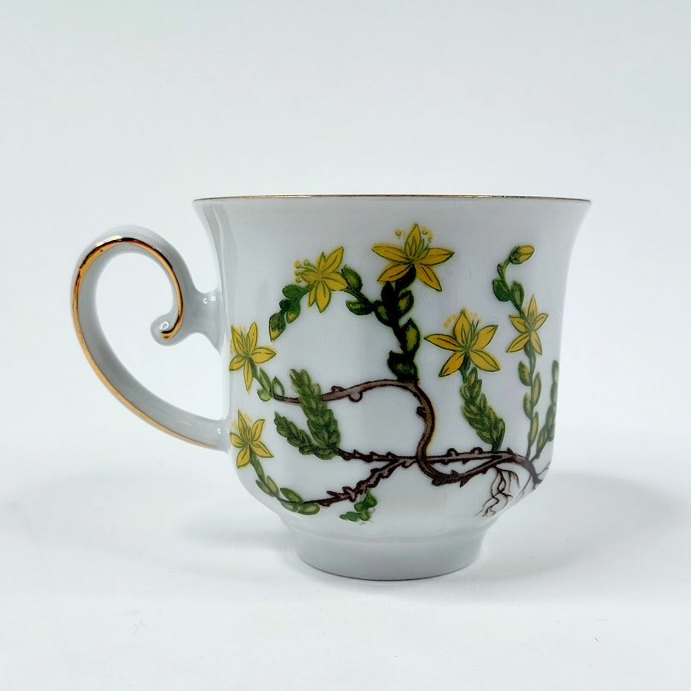 Apilanlehti Carl von Linné 1980 kahvikuppisetti 3 osaa