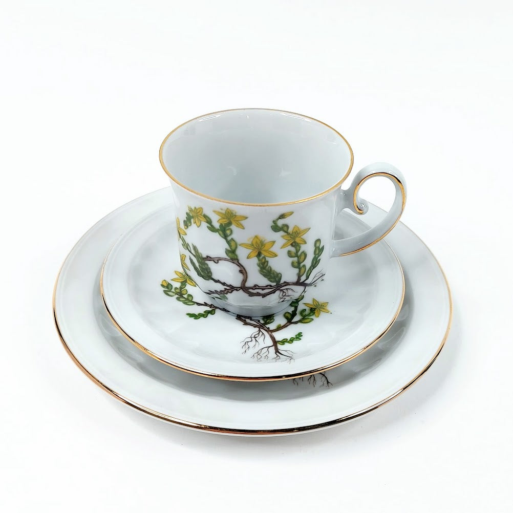 Apilanlehti Carl von Linné 1980 kahvikuppisetti 3 osaa