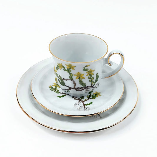 Apilanlehti Carl von Linné 1980 kahvikuppisetti 3 osaa