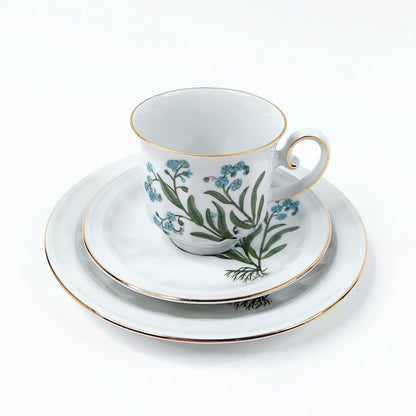 Apilanlehti Carl von Linné 1981 kahvikuppisetti 3 osaa