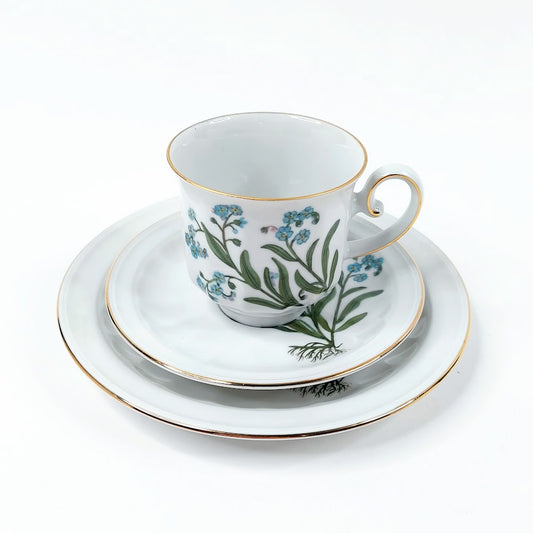 Apilanlehti Carl von Linné 1981 kahvikuppisetti 3 osaa