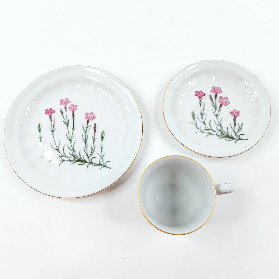 Apilanlehti Carl von Linné 1982 kahvikuppisetti 3 osaa