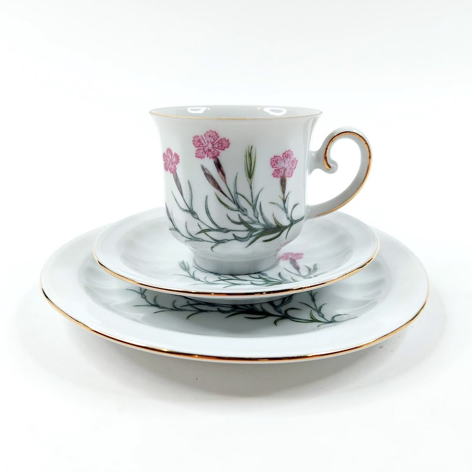 Apilanlehti Carl von Linné 1982 kahvikuppisetti 3 osaa