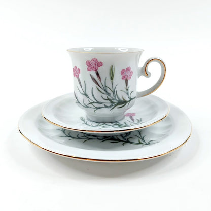 Apilanlehti Carl von Linné 1982 kahvikuppisetti 3 osaa