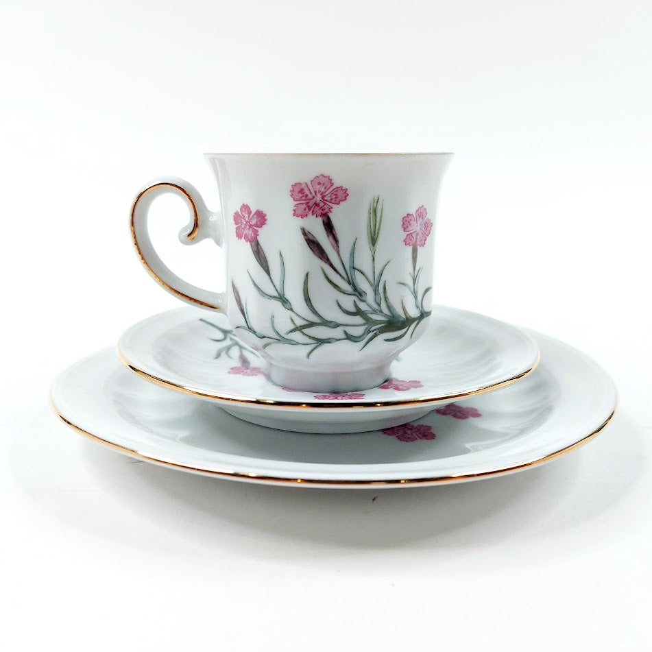 Apilanlehti Carl von Linné 1982 kahvikuppisetti 3 osaa