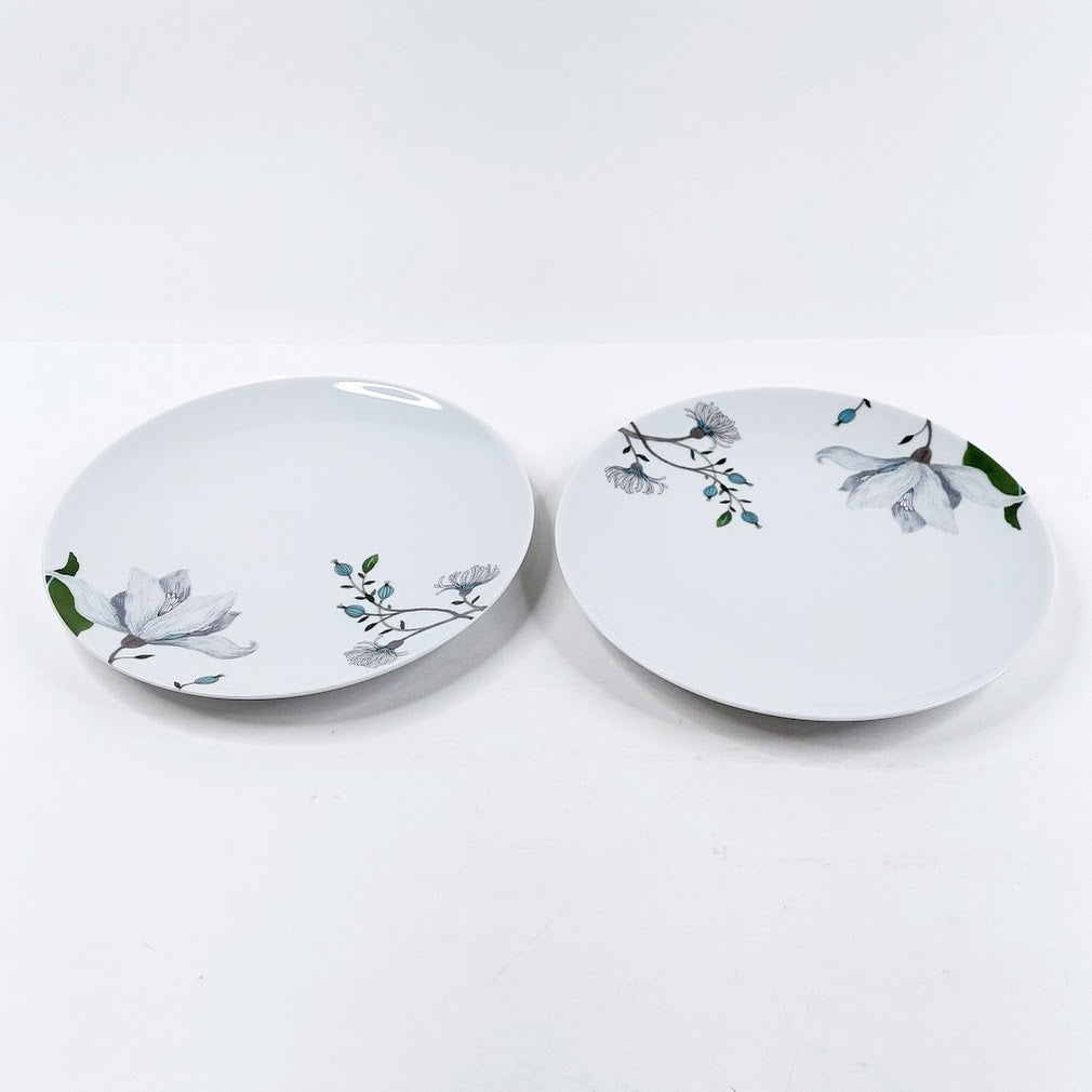 Apilanlehti / Fyrklövern Clematis alkuruokalautanen 2 kpl