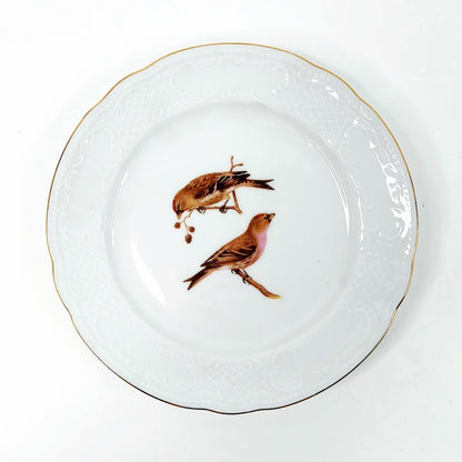 Apilanlehti Pohjolan linnut 1982 kahvikuppisetti 3 osaa