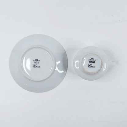 Arabia Citrus kahvikuppisetti 2 osaa