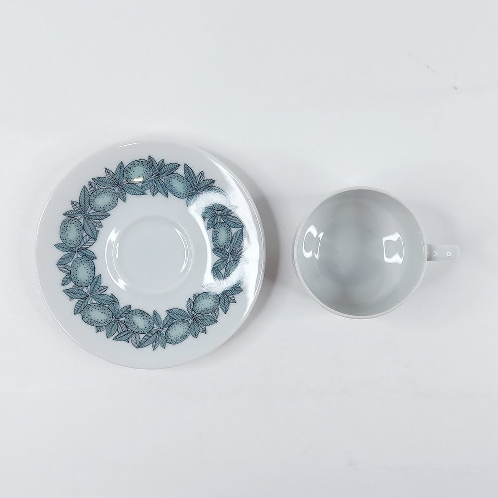 Arabia Citrus kahvikuppisetti 2 osaa