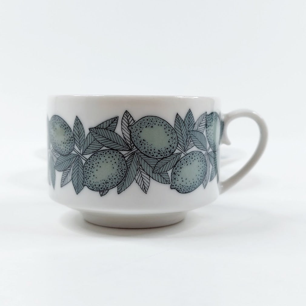 Arabia Citrus kahvikuppisetti 2 osaa