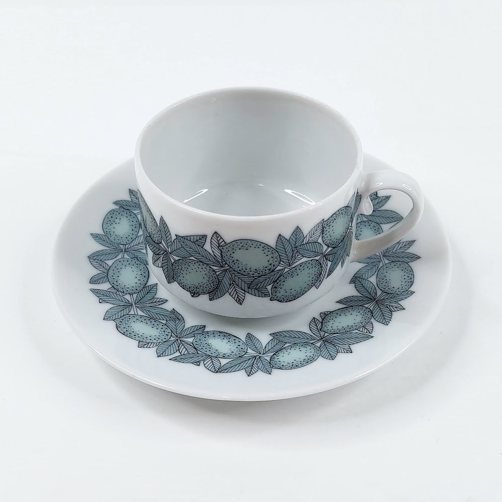 Arabia Citrus kahvikuppisetti 2 osaa