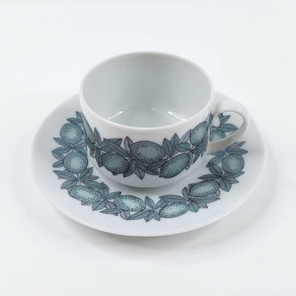 Arabia Citrus kahvikuppisetti 2 osaa