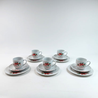 Karlowarsky porcelan - Bohemia kahvikuppisetti 15 osaa