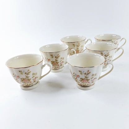 Budlet Fine China kahviastiasto 22 osainen