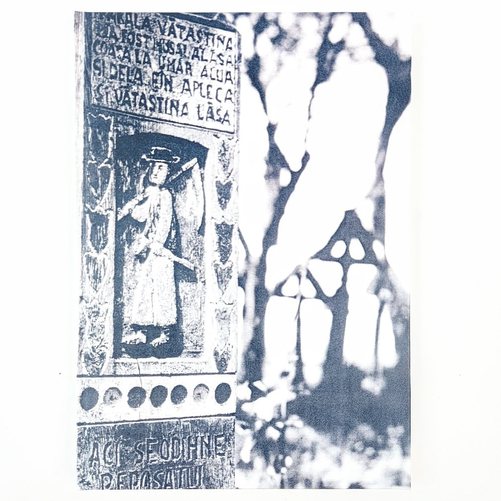 Tapani Harviainen, Henni Ilomäki, Anton Mäkelä: Bukovina- yhteinen uni