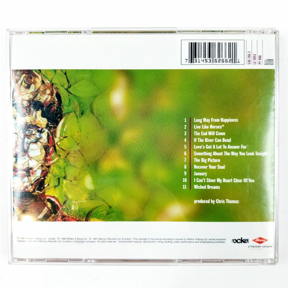 Elton John The Big Picture CD