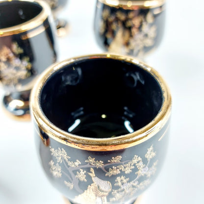 Fakiolas pikarit 6 kpl