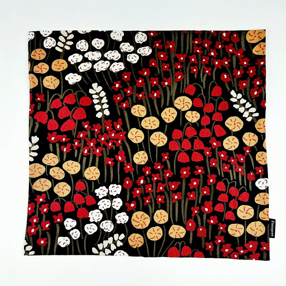Finlayson Armas tyynynpäällinen 48x50 cm 2 kpl