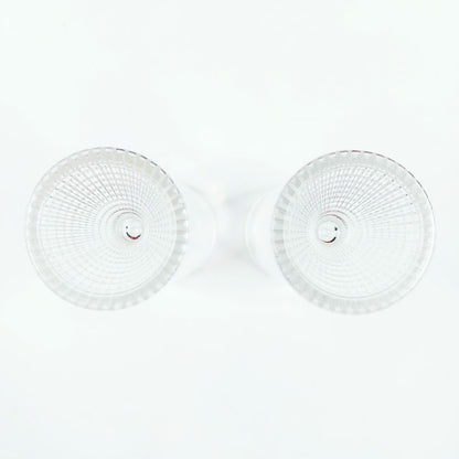 Iittala Briljant snapsilasi 2 kpl